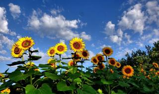 我与旧事归于尽全诗