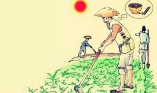 小学语文一年级上册